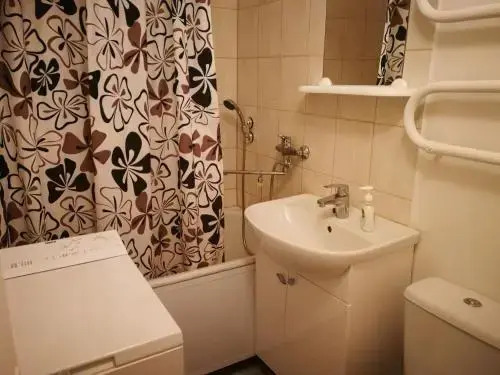 Convenient Central Apartment