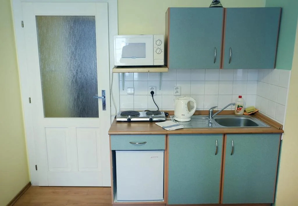 Apartments Pushkin
