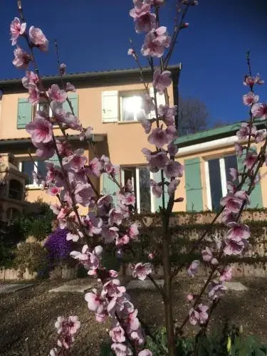 Le Relais des Malettes Chambres dhôtes B&B