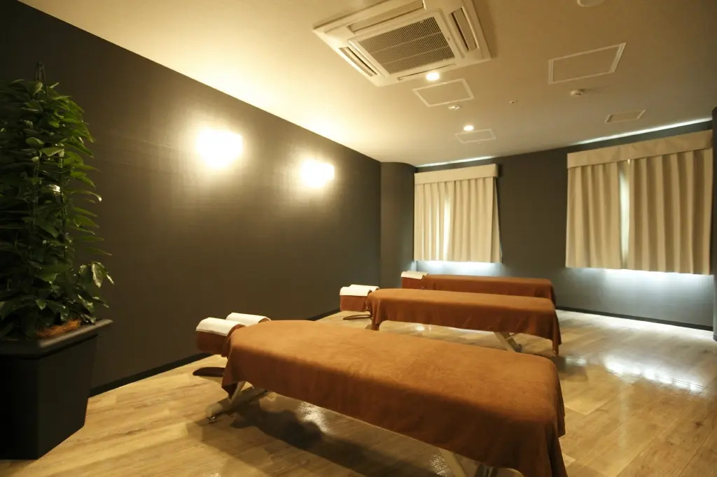 Dormy Inn Gifu Ekimae