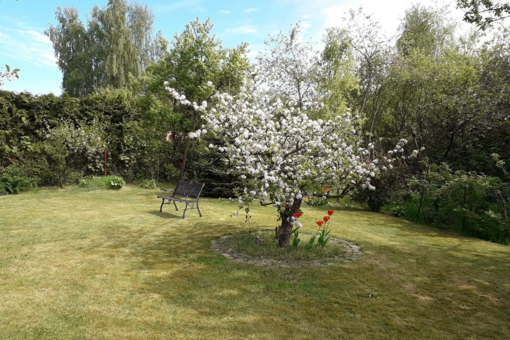 Ferienwohnung in der Hubschen Inselstadt Malchow