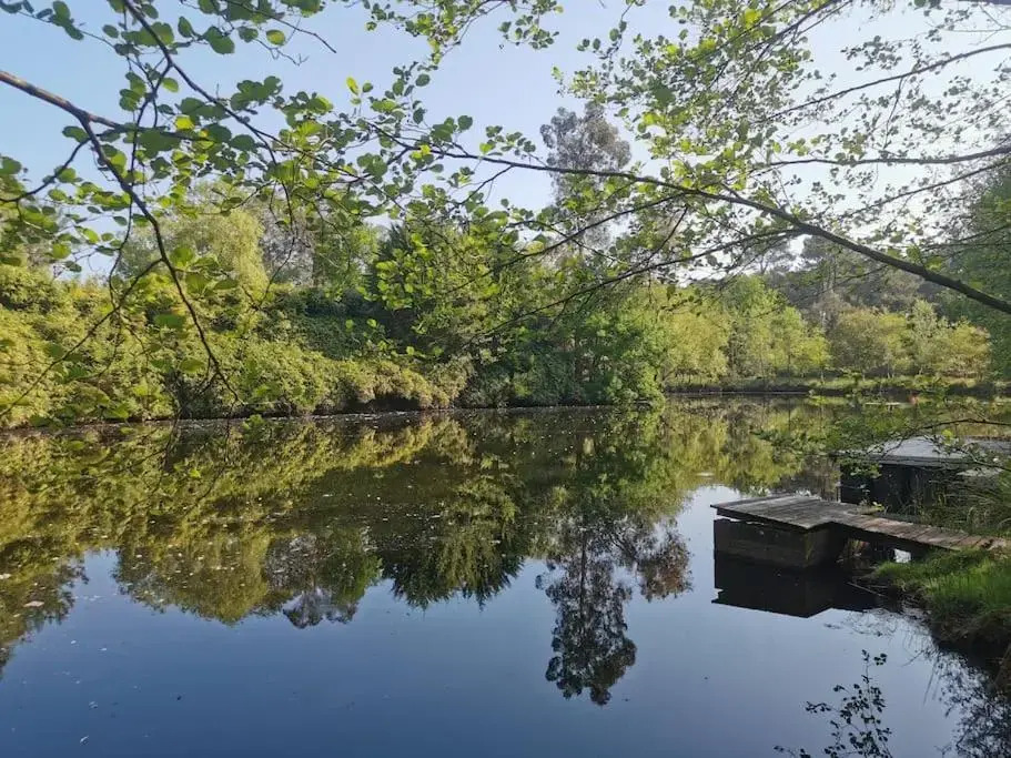 Maison bois au coeur de la nature. 2ha de terrain. Etangs
