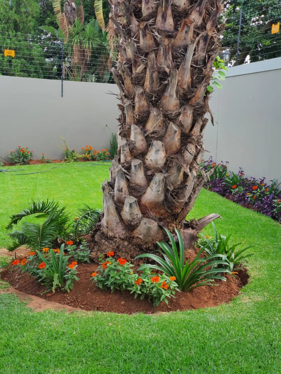 URlyfstyle Cottage Near OR Tambo International Airport