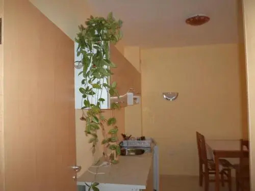 Krasi Apartments in Perla Complex