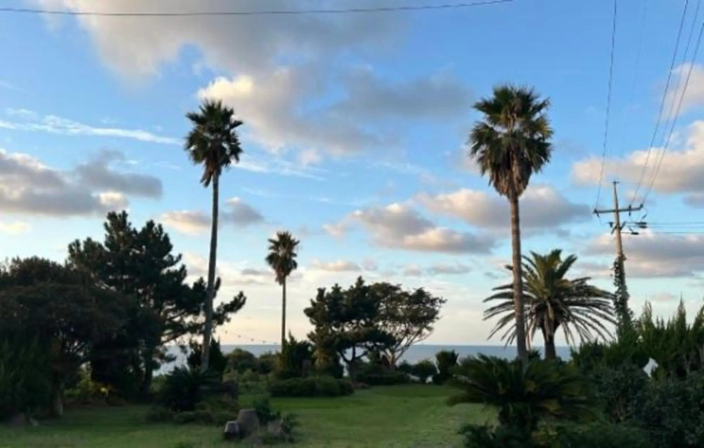The Sea of Jeju Dream