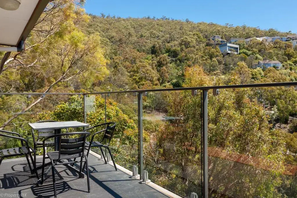 The Lookout