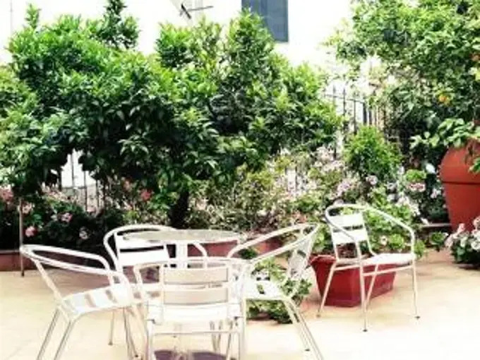 B&B Bassotto
