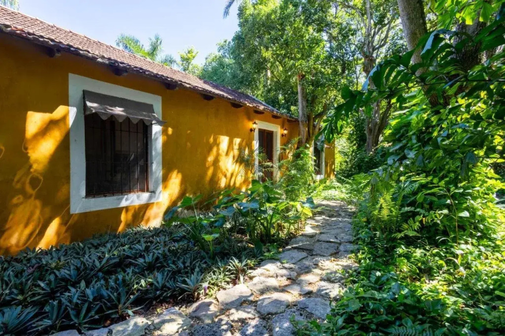 Hacienda San Antonio Millet