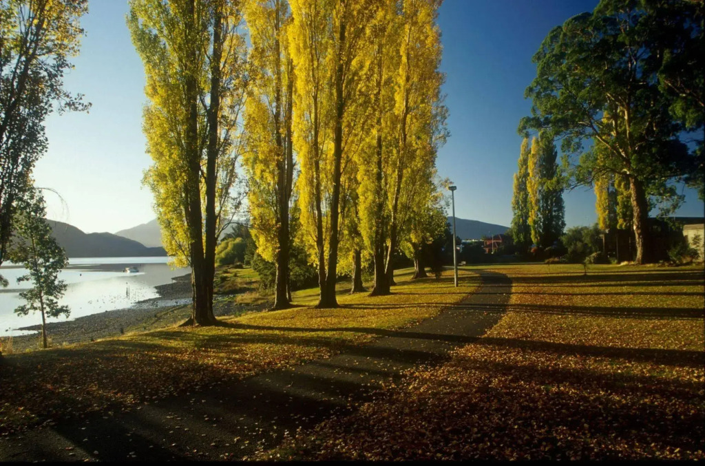 Distinction Te Anau Hotel & Villas