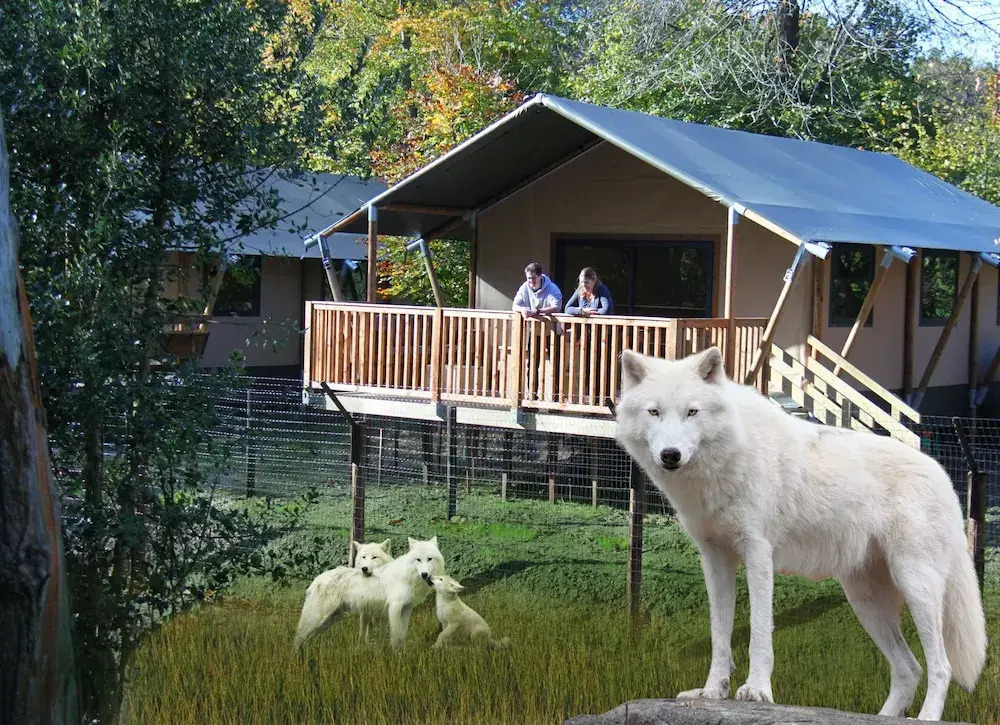 Cerza Safari Lodges