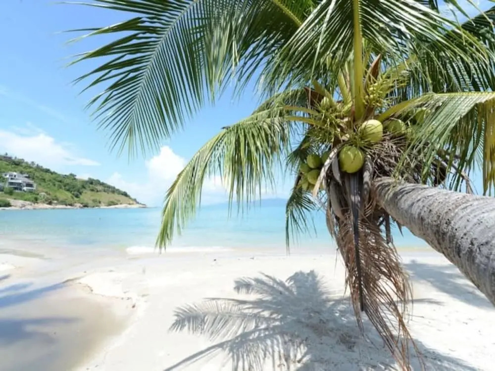 3 Bedroom Villa TG40 on beachfront resort SDV286-By Samui Dream Villas