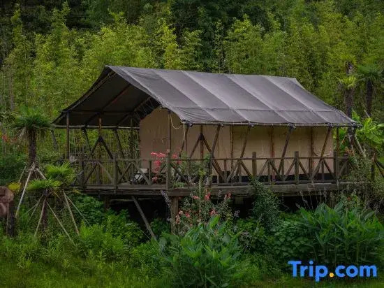 Anji Spring Breeze Valley Luxury Tent Homestay