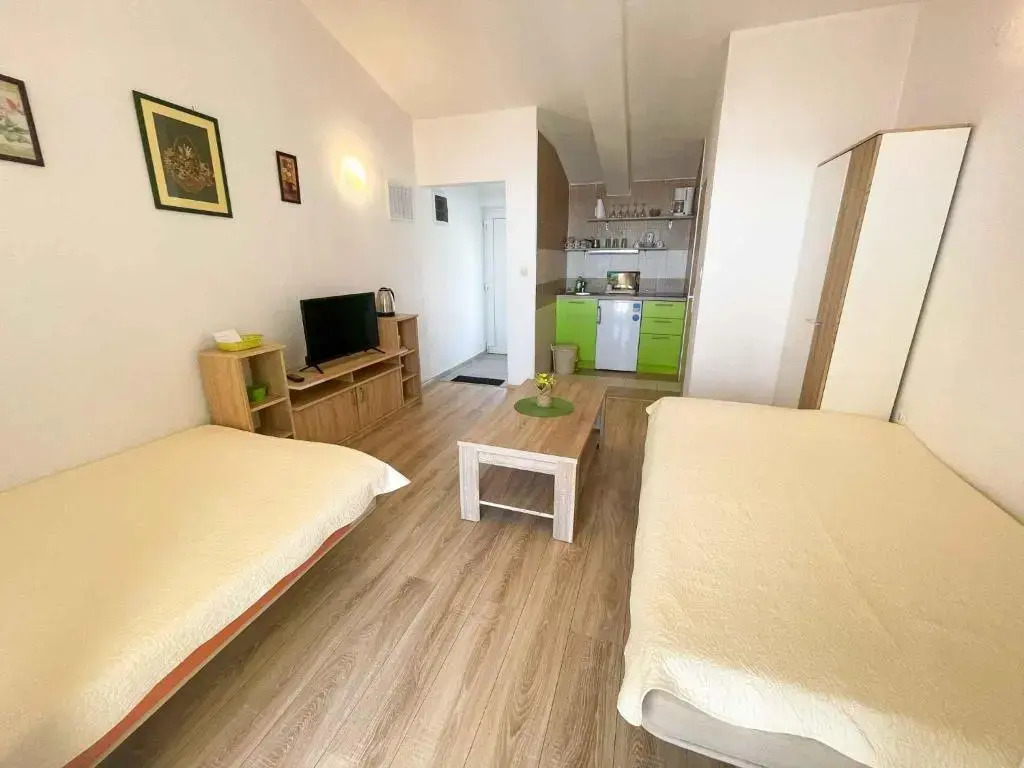 Apartments in Crikvenica 41207