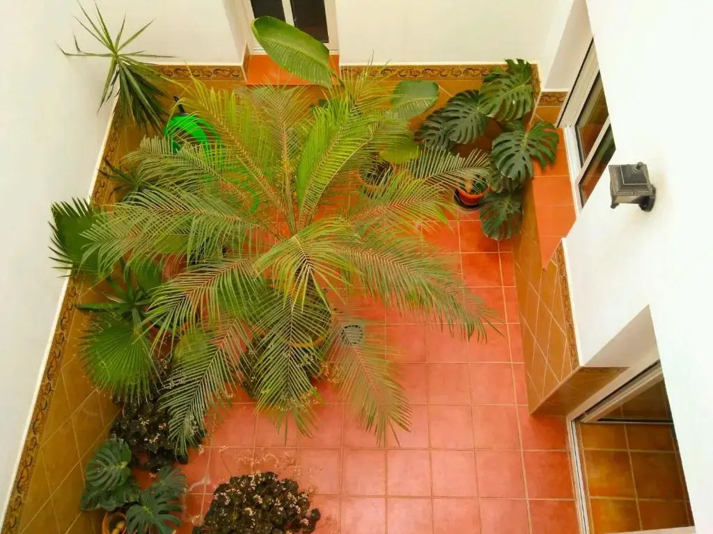 Apartamentos Centurión
