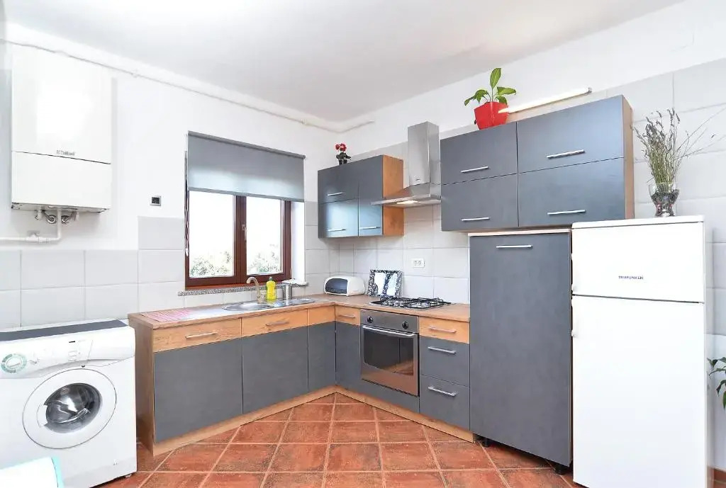 Apartment Puzar 295