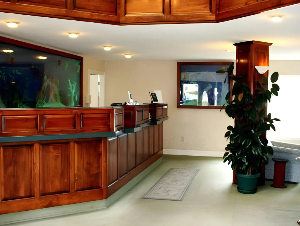North Cliff Hotel
