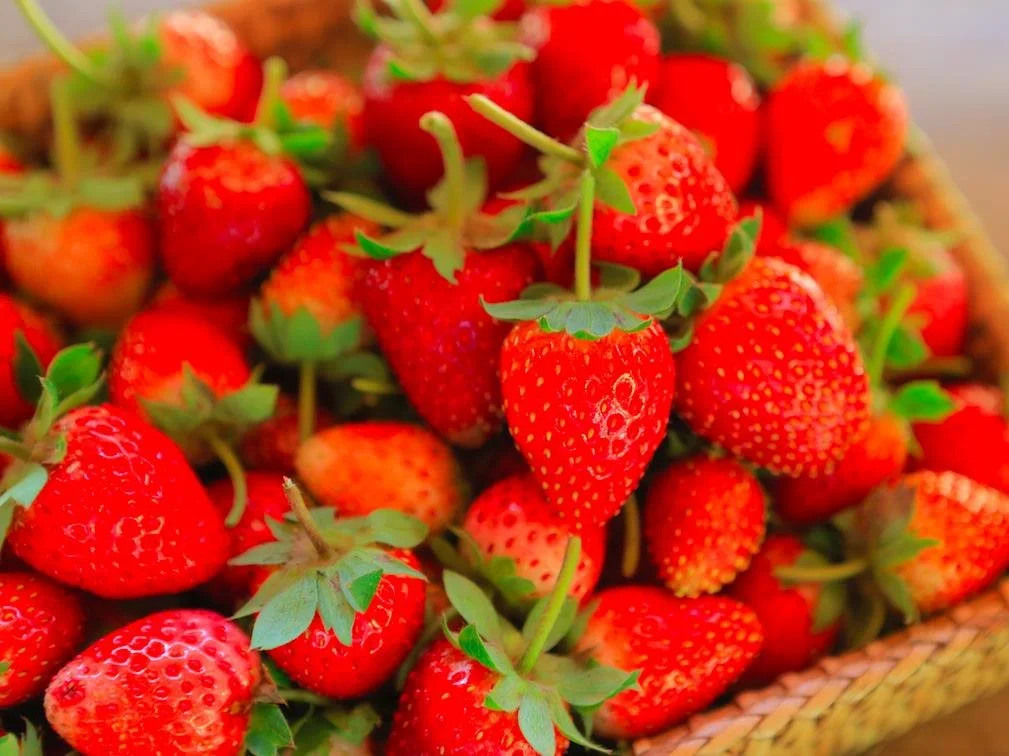 Doi Nok Strawberry Resort Chiangmai