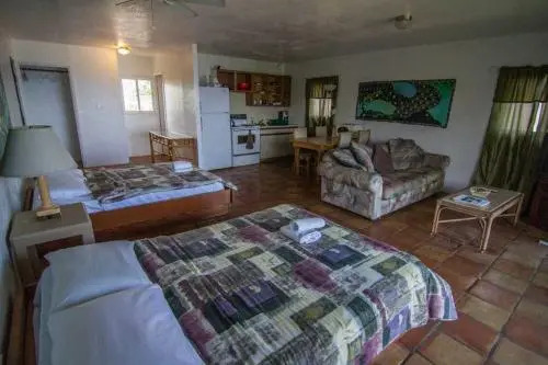 Backpackers Vacation Inn and Plantation Village