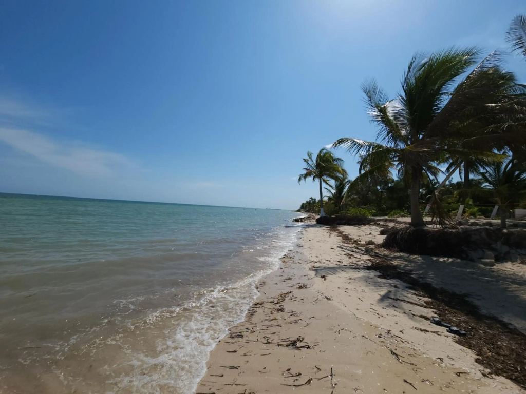 Quiet and peaceful house, all instalations are private, with pool and very close to the beach