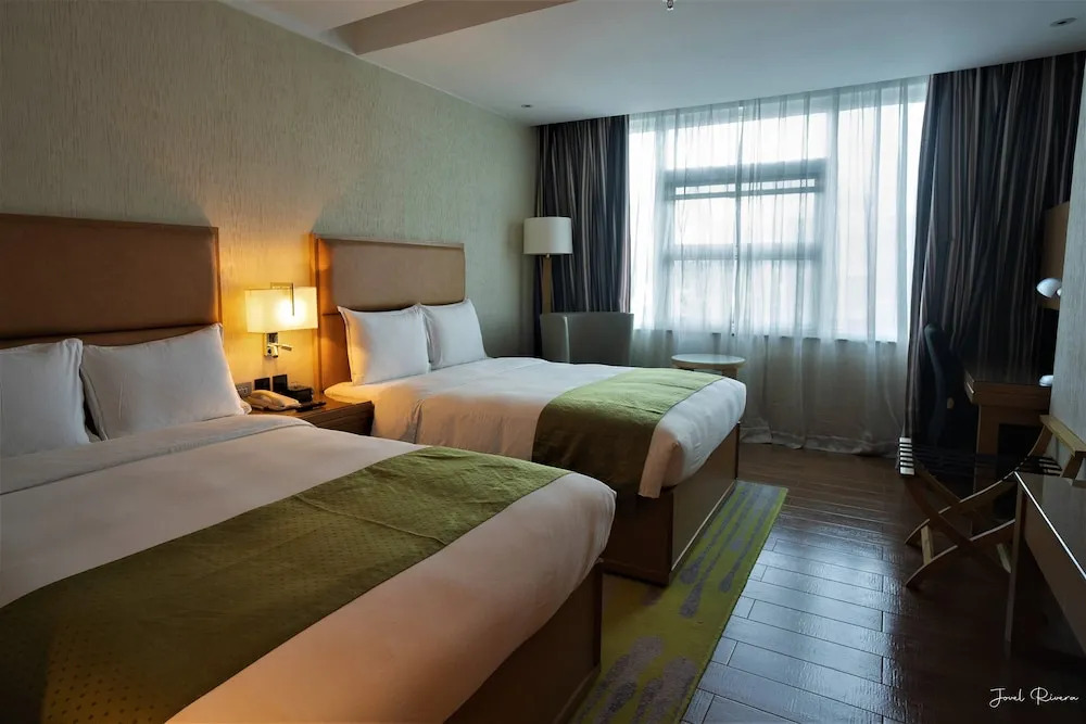 Ion Hotel