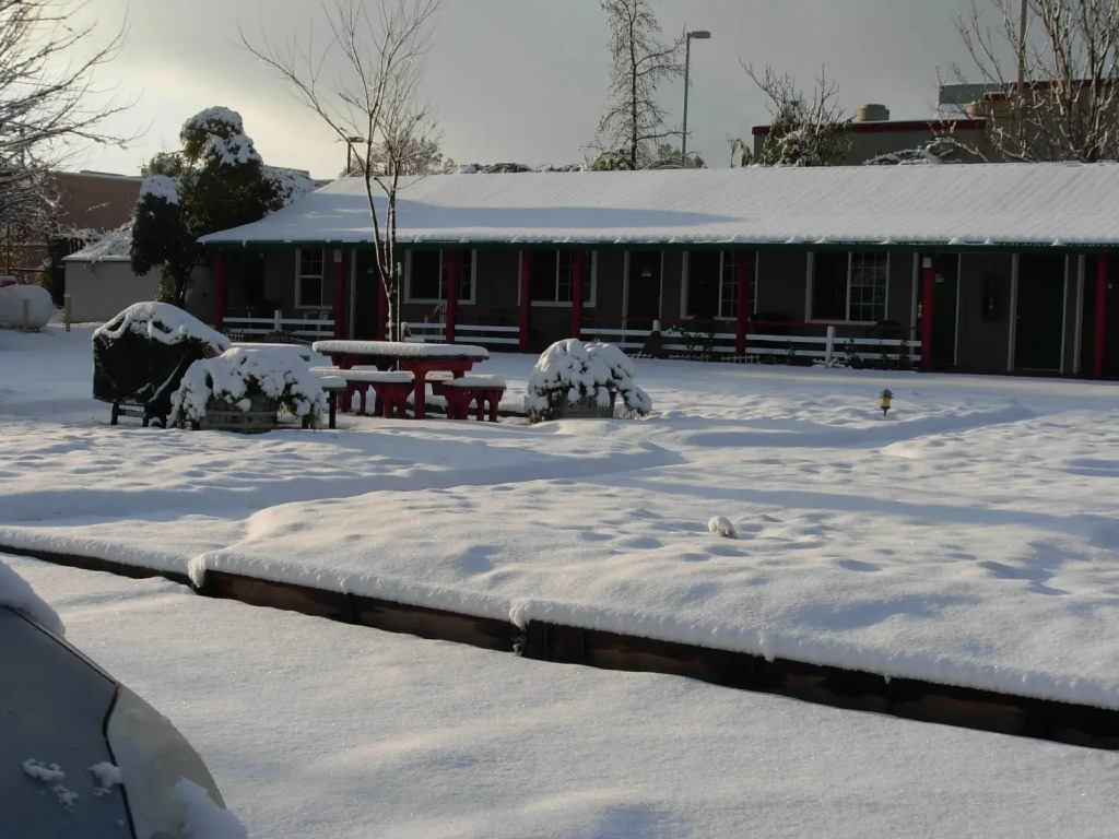 Jumping Frog Motel