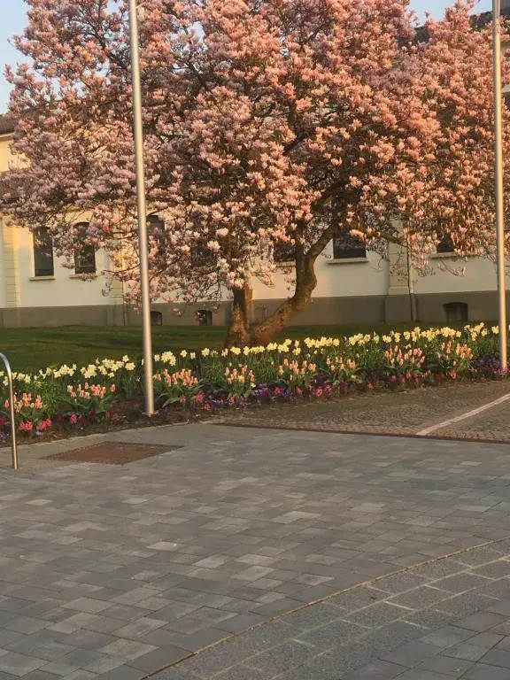 Auszeit