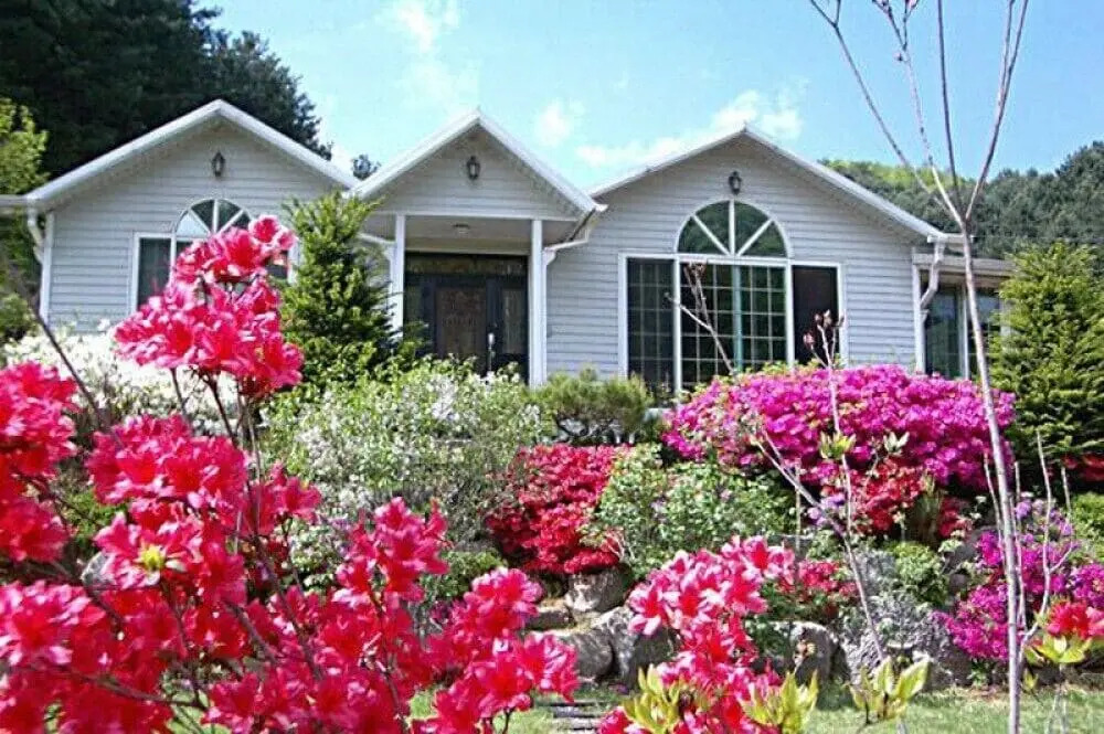Seasonal Sky Pension