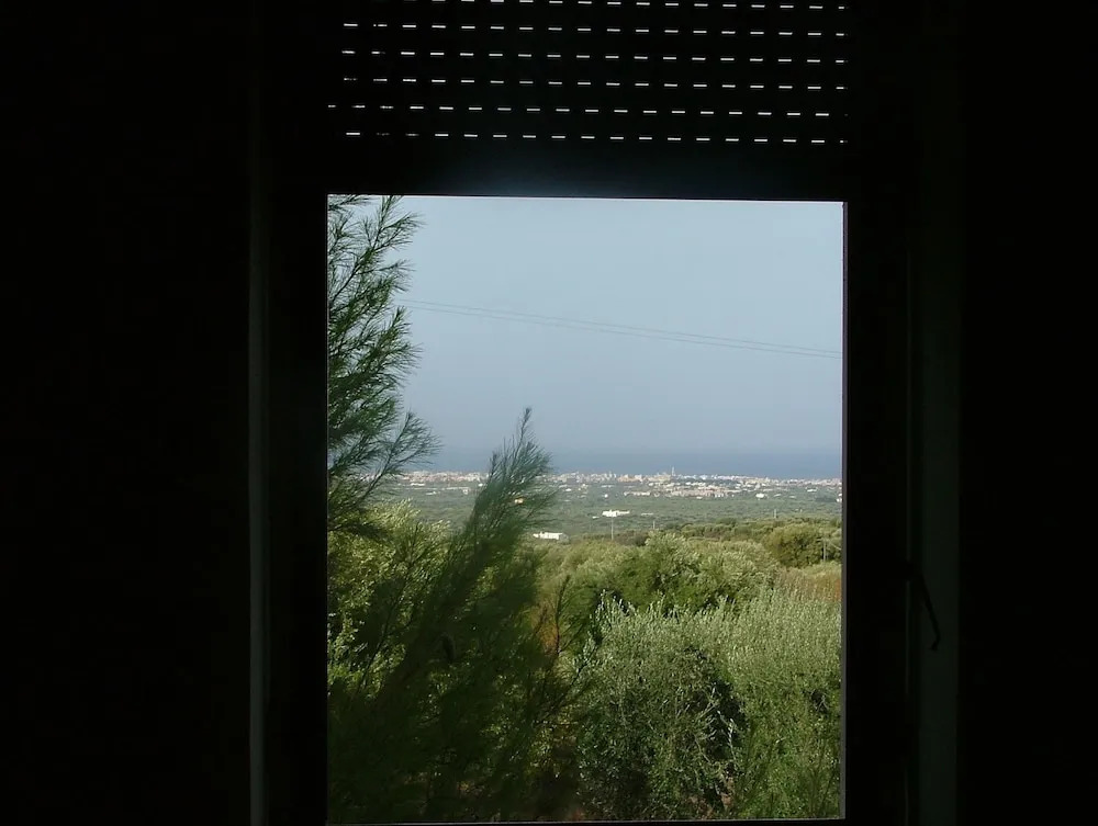 Orto degli Ulivi