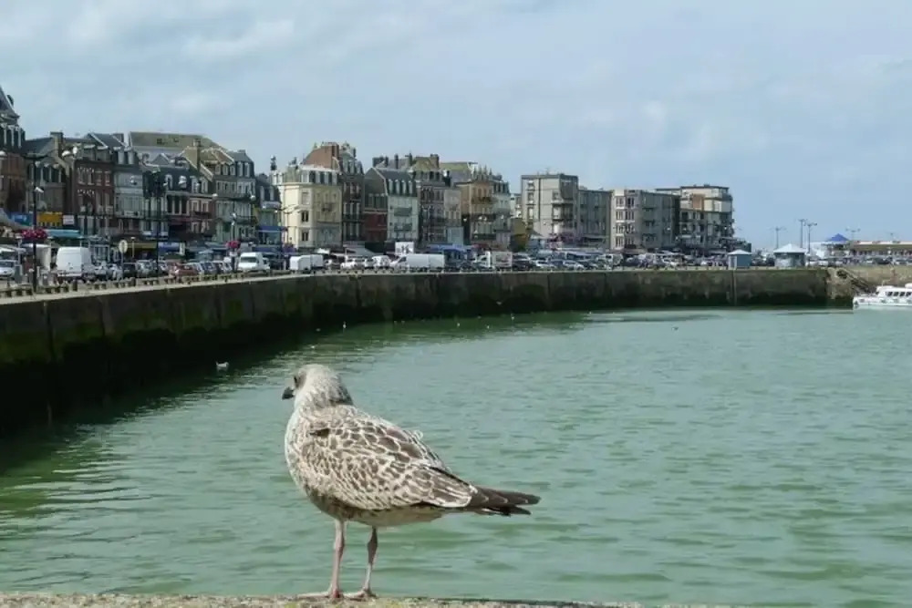Townhouse near Bay of Somme and Norman Beaches