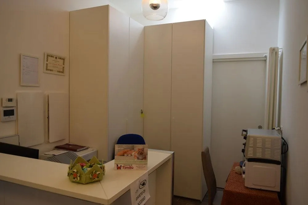 DomuS al Corso con servizio B&B