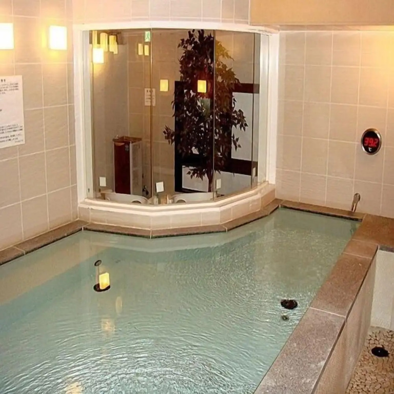 Spa & Sauna Hotel Hitachi Plaza