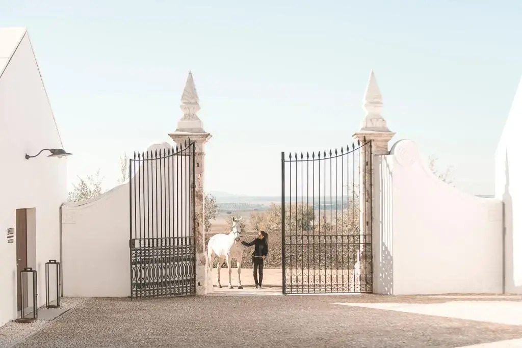 Torre de Palma Wine Hotel, Monforte, a Member of Design Hotels