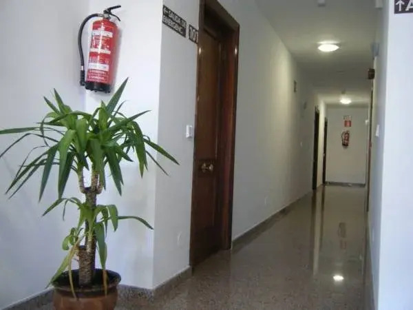 Apartamentos Salceda