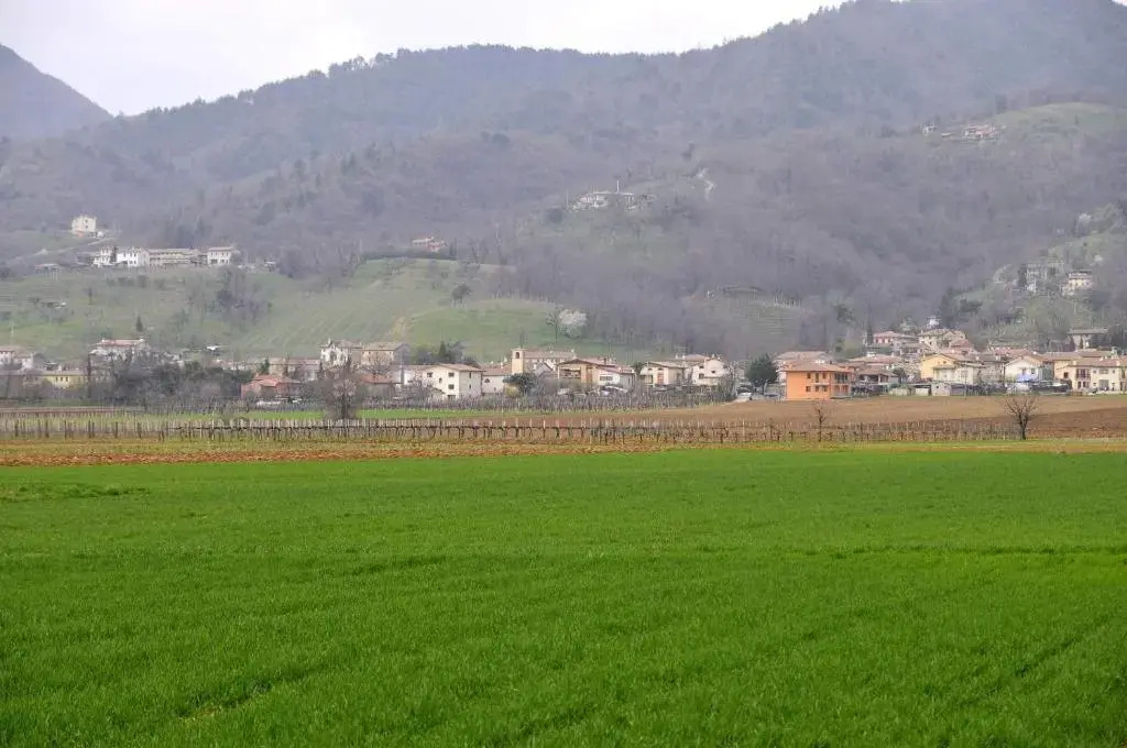 SantAndrea Agriturismo con cantina Martignago Vignaioli Asolo Prosecco Docg Wines