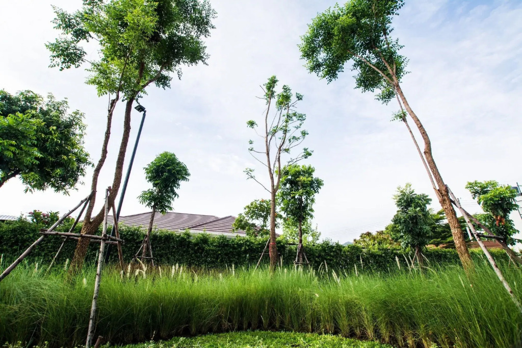 BY Hotel Kanchanaburi