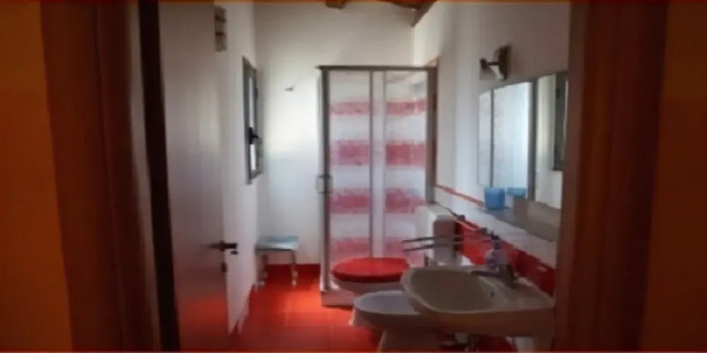 Il geco rosso
