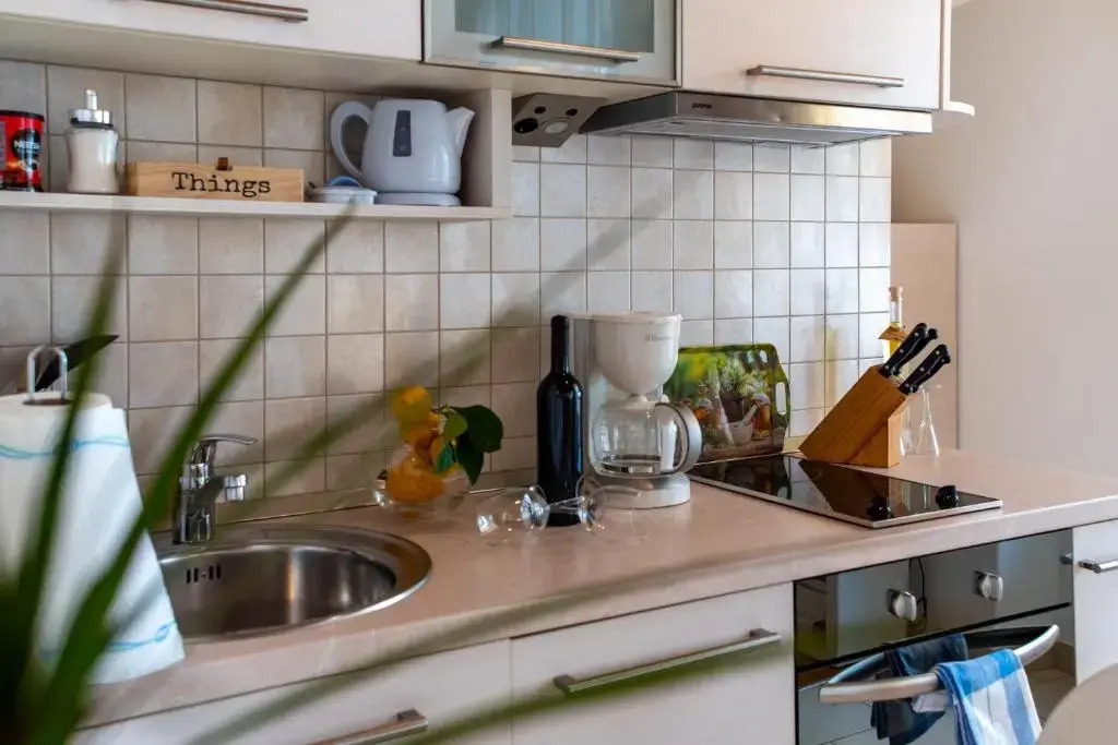 Apartment Ivo