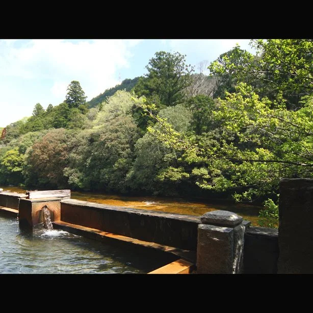 Yudani Onsen Ryoso Mitsui