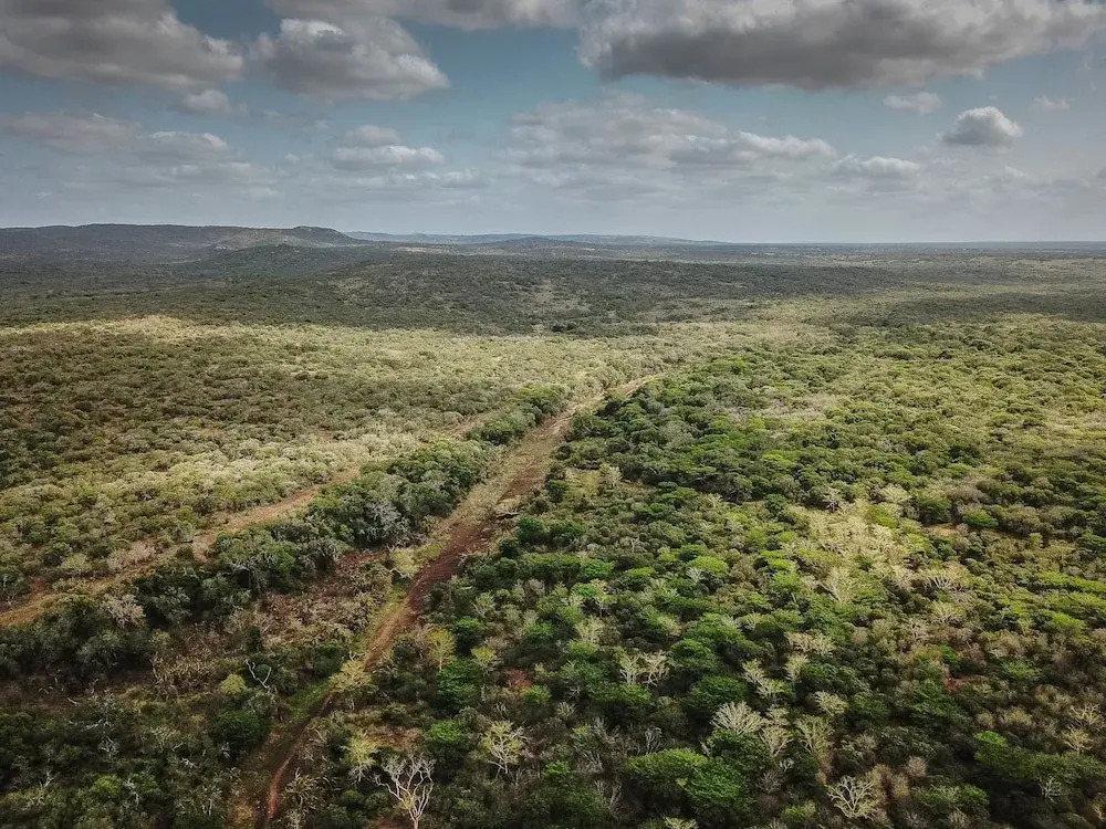 Zululand Lodge