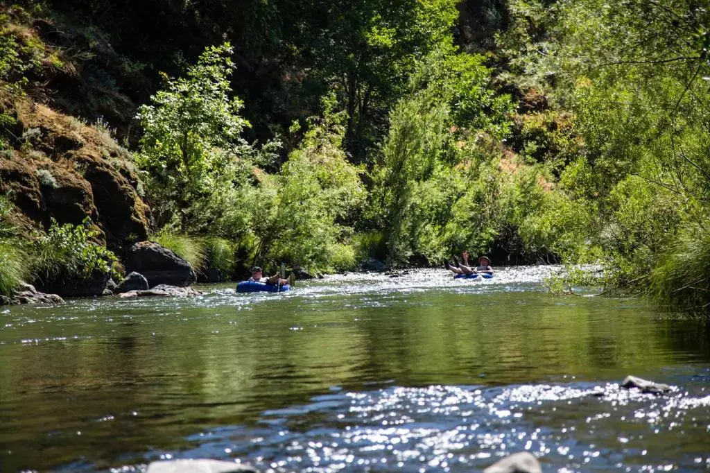 Russian River Camping Resort Studio Cabin 4