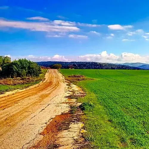 Kibbutz Nachshon
