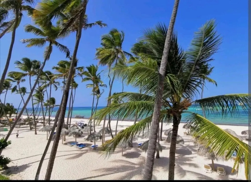 Beatiful condo rosa hermosa