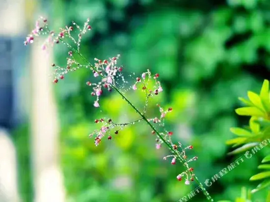 Langqiao Shui'an