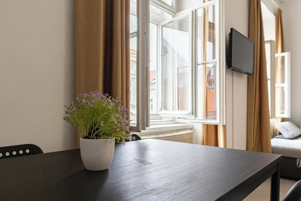 Beautiful 1BR Near Rennweg Belvedere