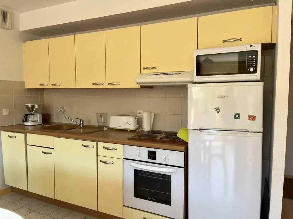 Appartement Pratique avec Balcon et Garage Privatif à Villard-de-Lans - FR-1-548-10