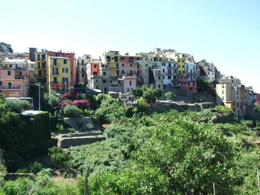 Terre Apartment