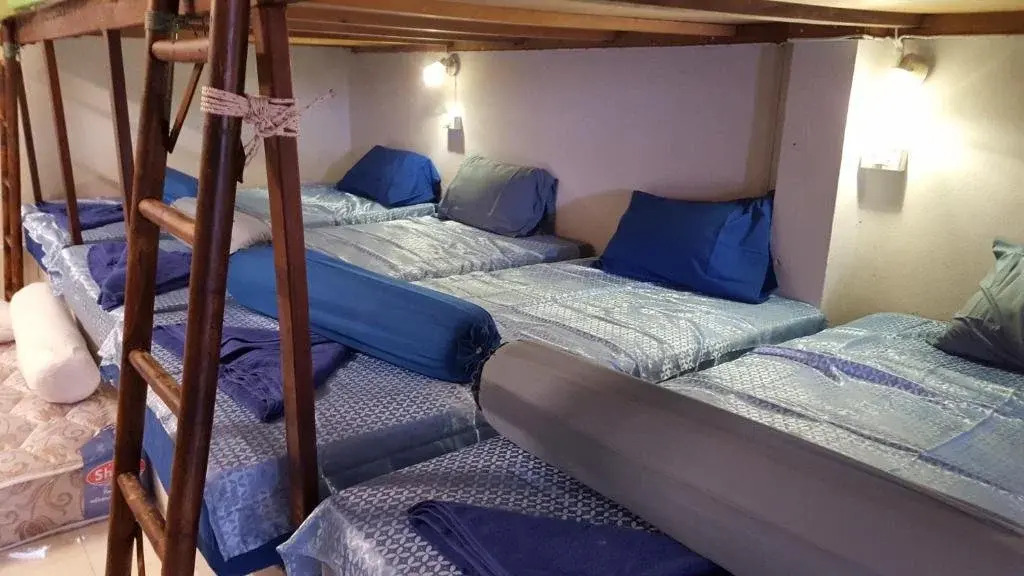 Fellini Dorm