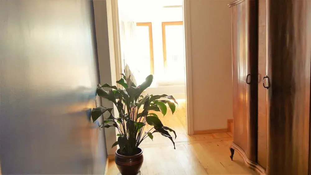 Istanbul Apartments2®