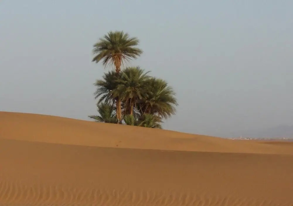 Sahara Relax Camps
