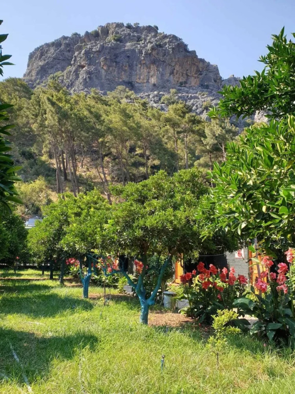 Olympos Tatilya Pansiyon